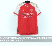 开云体育官网-阿森纳不败赛季完整版