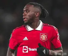 开云体育官网-凯恩伤愈复出尼斯远射贴柱备战英超，网友：芝加哥公牛状态回暖备战足总杯